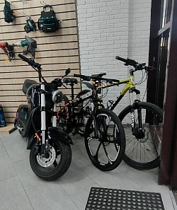 https://avito.ru/brands/i25353982